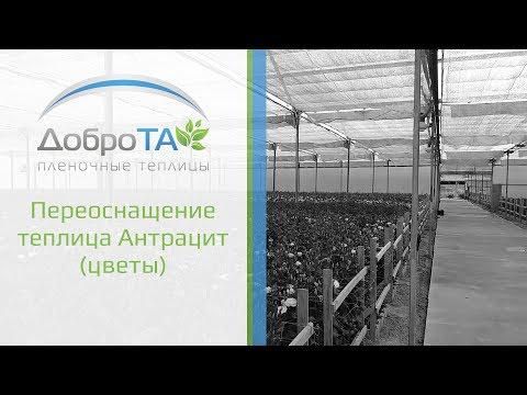 Reechiparea serei Antracit (flori)